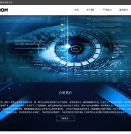 开云(中国)kaiyun·官方网站