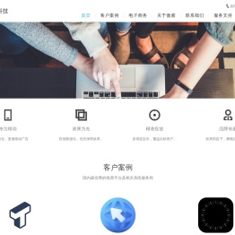 微紫科技