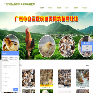 广州市白云区良田天翔鸡苗孵化场