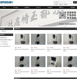 公司名称