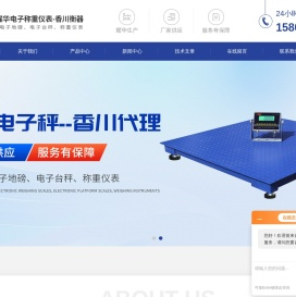 上海耀华称重系统有限公司