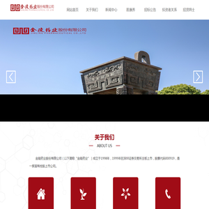 金陵药业股份有限公司