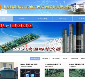 山东胜利伟业石油工程技术服务有限公司