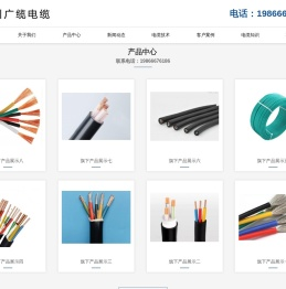 广州广缆电缆有限公司