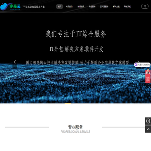 公有云解决方案运维外包服务商