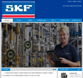 SKF轴承