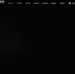 武汉网视联搜科技有限公司
