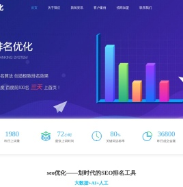 广西SEO,柳州SEO,网站SEO,SEO排名服务商