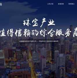 上海驰助信息技术有限公司