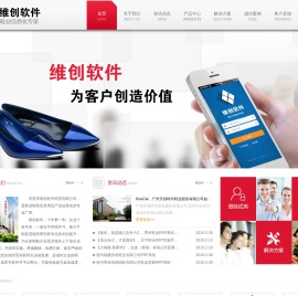 维创软件