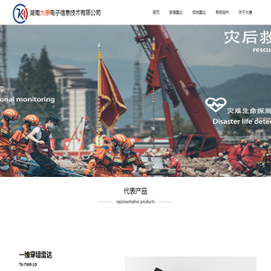 湖南太康电子信息技术