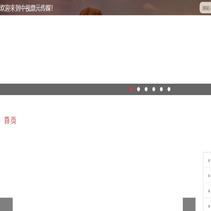中视鼎元传媒