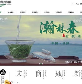 日照绿茶