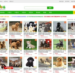 狗市场网