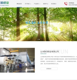 山东隆润