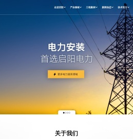 山东启阳电力