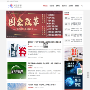 天武咨询