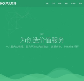 泽元软件