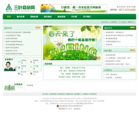 云南三叶国际航空服务有限公司