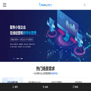 金蝶软件