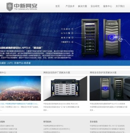 中新网安