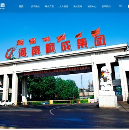 河南省顺成集团能源科技有限公司