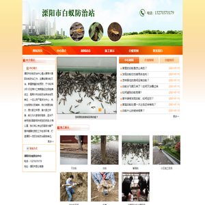 溧阳白蚁防治