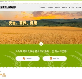 新疆盛康宏鑫(集团)有限公司