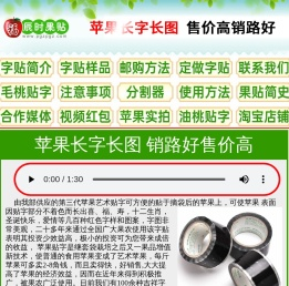 辰时果贴简介