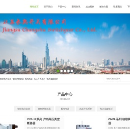 智慧电力领导者