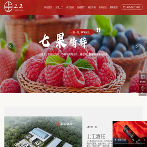 河北国潮七果精粹酒