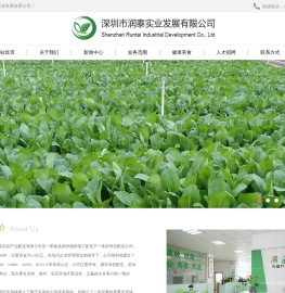 深圳市润泰实业发展有限公司