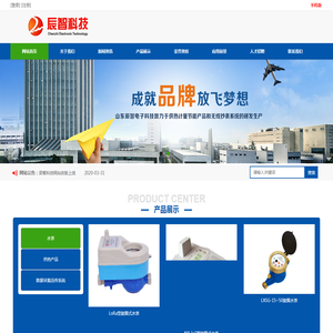 山东辰智电子科技有限公司