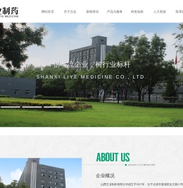 山西立业制药有限公司