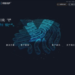 肯耐珂萨