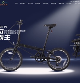 DAHON大行折叠车