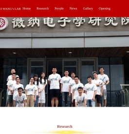 北京大学集成电路学院王玮教授课题组
