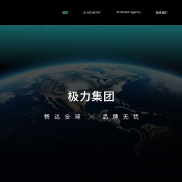 极力集团