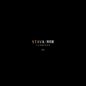 STAVA男装官方网站