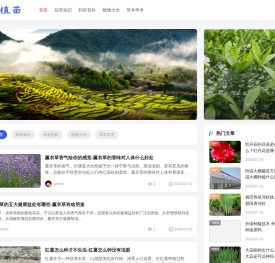 爱植苗