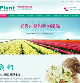 进口种球
