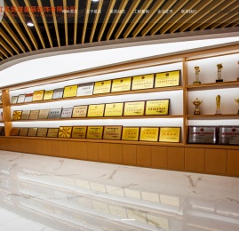 江苏武进星辰装饰有限公司