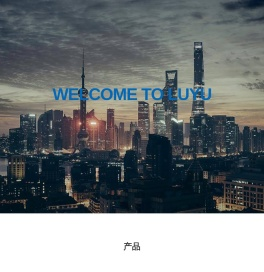 路雨信息技术上海有限公司