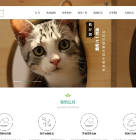 流浪动物之家