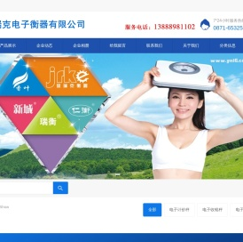 昆明金瑞克电子衡器有限公司