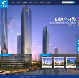 升龙集团