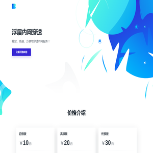 浮居内网穿透