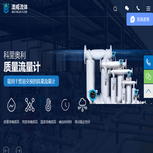 质量流量计