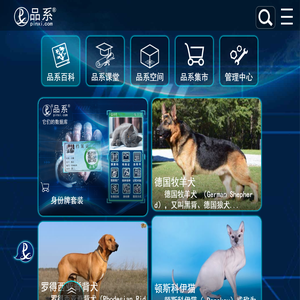 品系