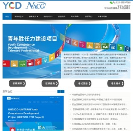 青年胜任力建设项目YCD